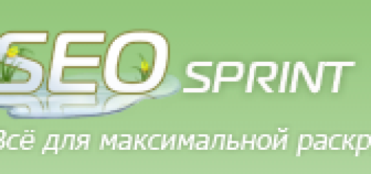 SEO sprint - максимальная раскрутка веб сайтов!